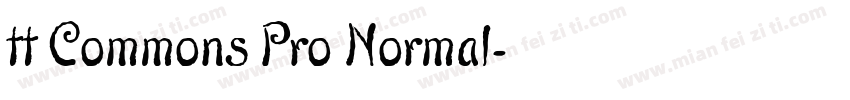 tt Commons Pro Normal字体转换